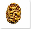 buy Original rudraksha online