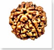 buy Original rudraksha online